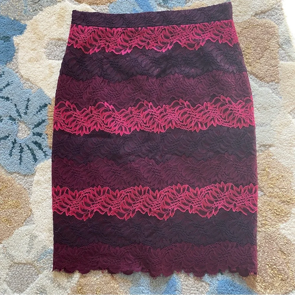 Banana Republic Ombre Lace Pencil Skirt